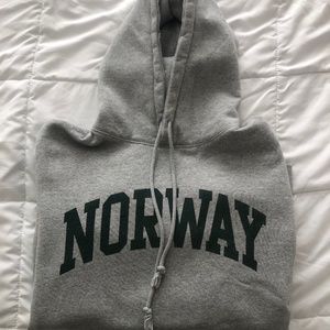 Womens Gray Brandy Melville Hoodie Sweatshirt (OS)